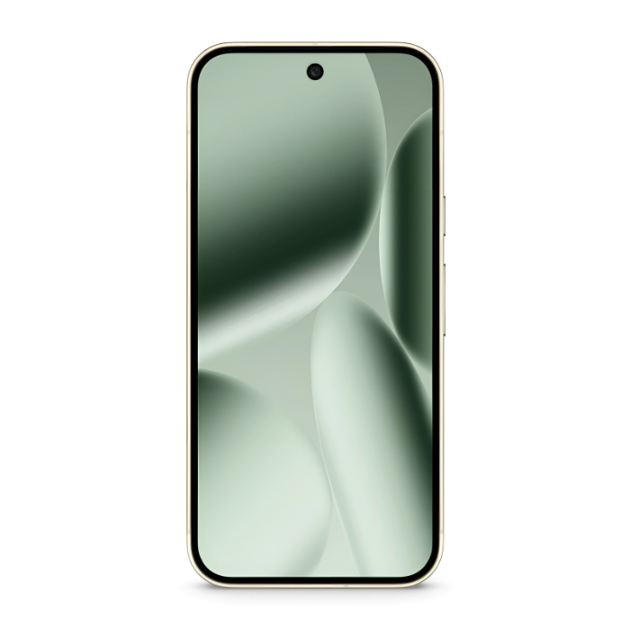 14 Google Pixel 10 Pro 5G 256GB/16GB RAM Jade Dual SIM Global Version